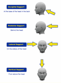 Understanding Head Control